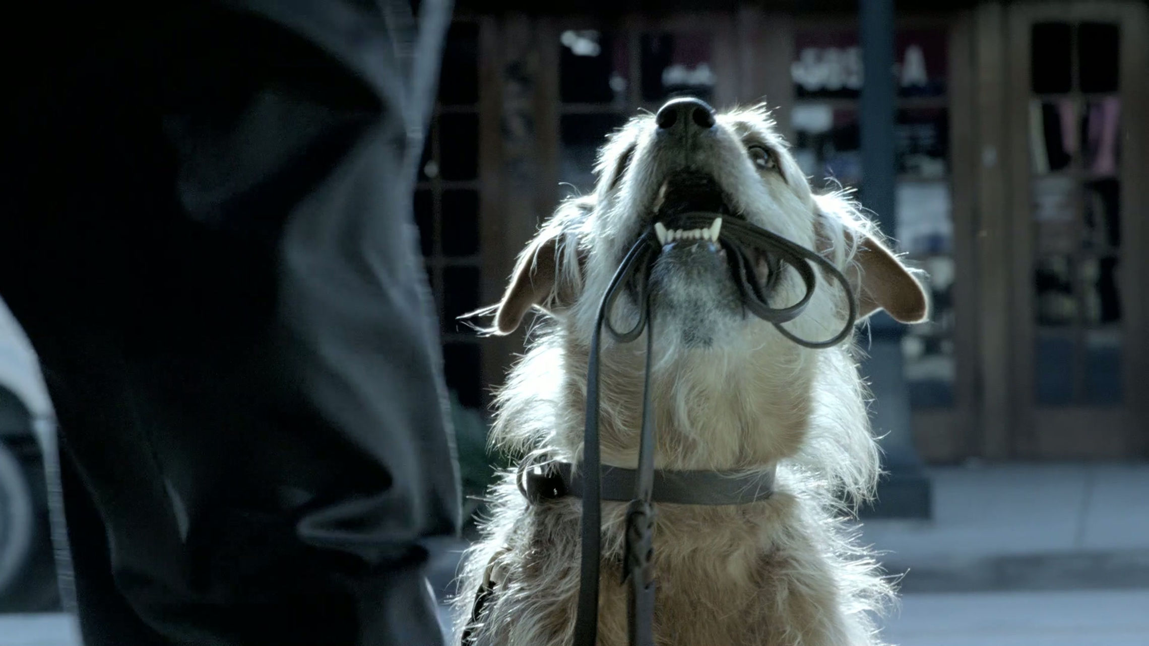 Hartford "Walk Alone"